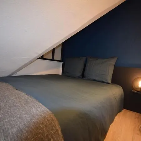 Le Du Quai Des Pecheurs - Duplex Sur Les Quais Апартаменты Страсбург