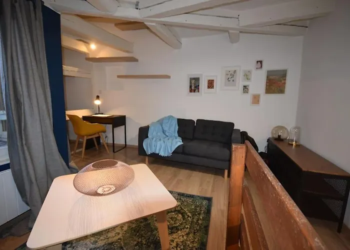 Le Du Quai Des Pecheurs - Duplex Sur Les Quais דירה