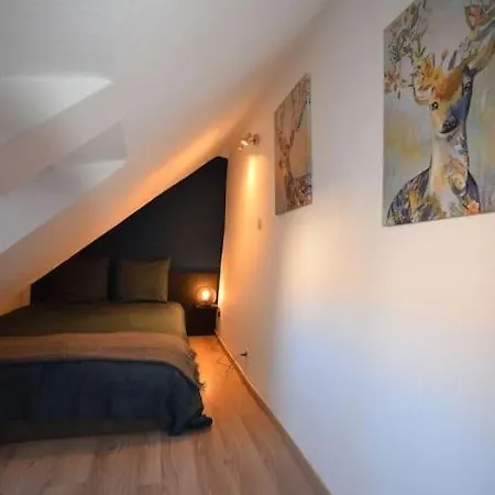 Appartement Le Du Quai Des Pecheurs - Duplex Sur Les Quais Straatsburg