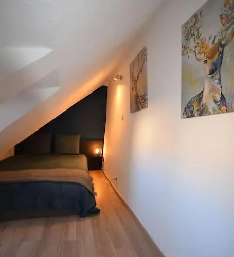 Appartement Le Du Quai Des Pecheurs - Duplex Sur Les Quais Straatsburg