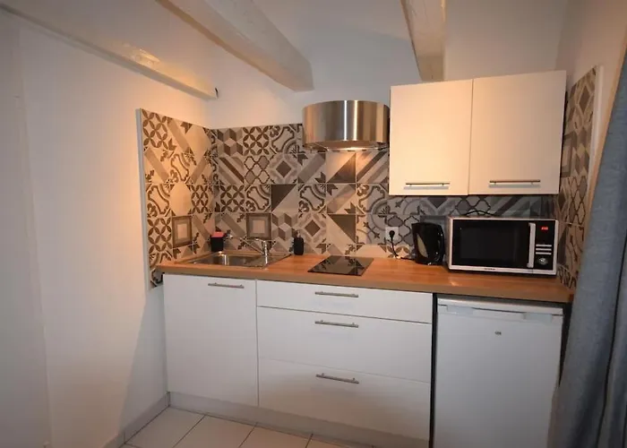 Le Du Quai Des Pecheurs - Duplex Sur Les Quais Appartement Straatsburg