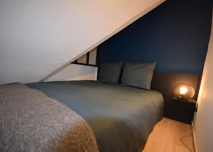 Le Du Quai Des Pecheurs - Duplex Sur Les Quais Appartement Straatsburg
