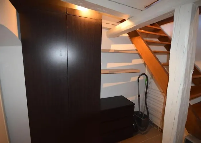 Le Du Quai Des Pecheurs - Duplex Sur Les Quais Straatsburg